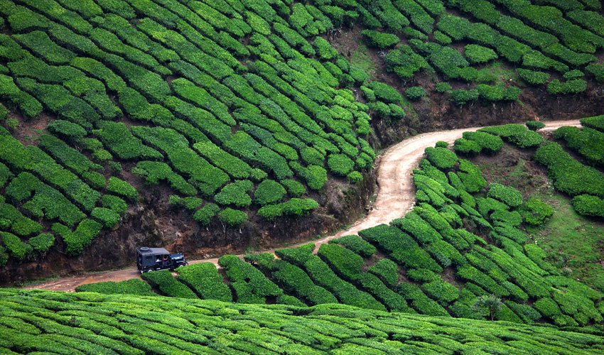 Munnar Landscape Photography