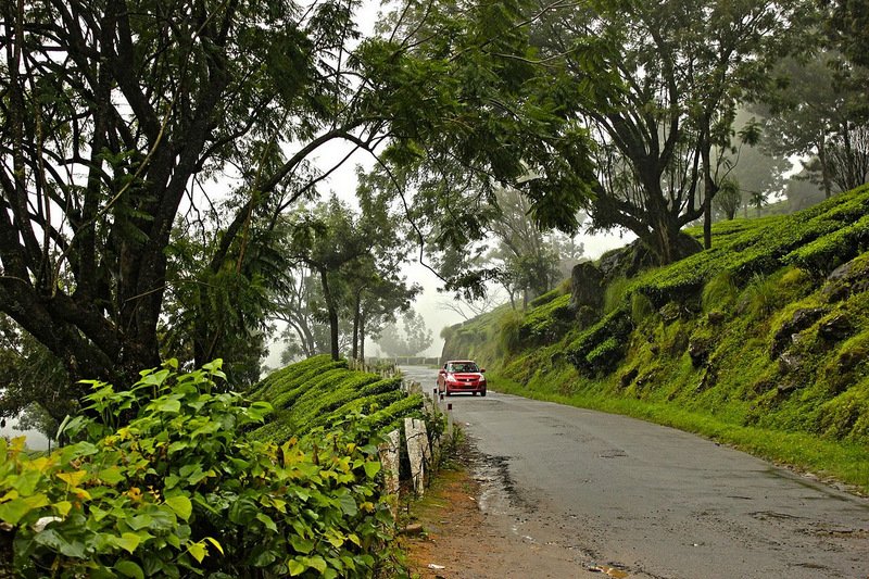 Bandipur Munnar Connection