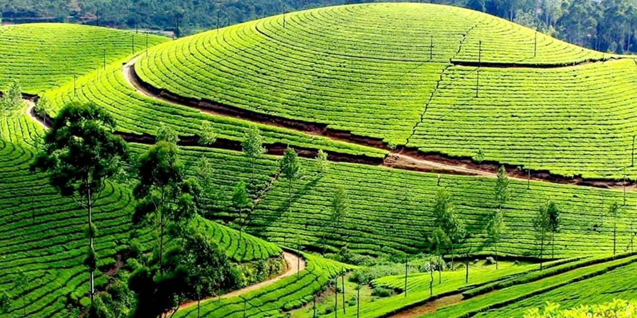 Coonoor Tourism