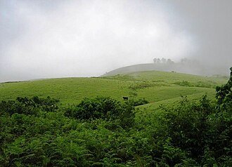 Vagamon Meadows