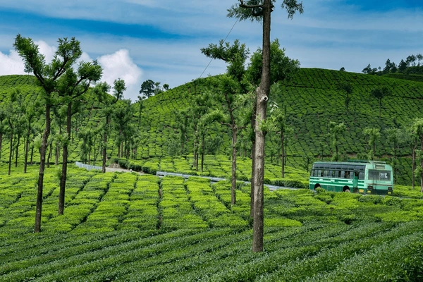 Valparai Rural Landscape