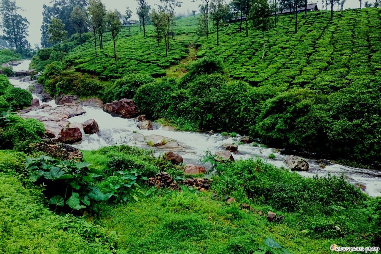 Valparai Scenic Views
